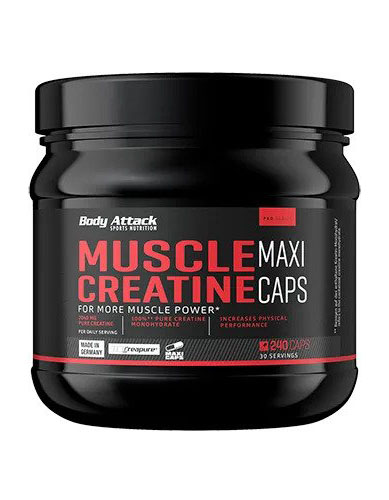 X5e543_5e54333a78075_5e54333a78075_1671_muscle-creatine240